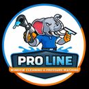 pro line window cleaning logo