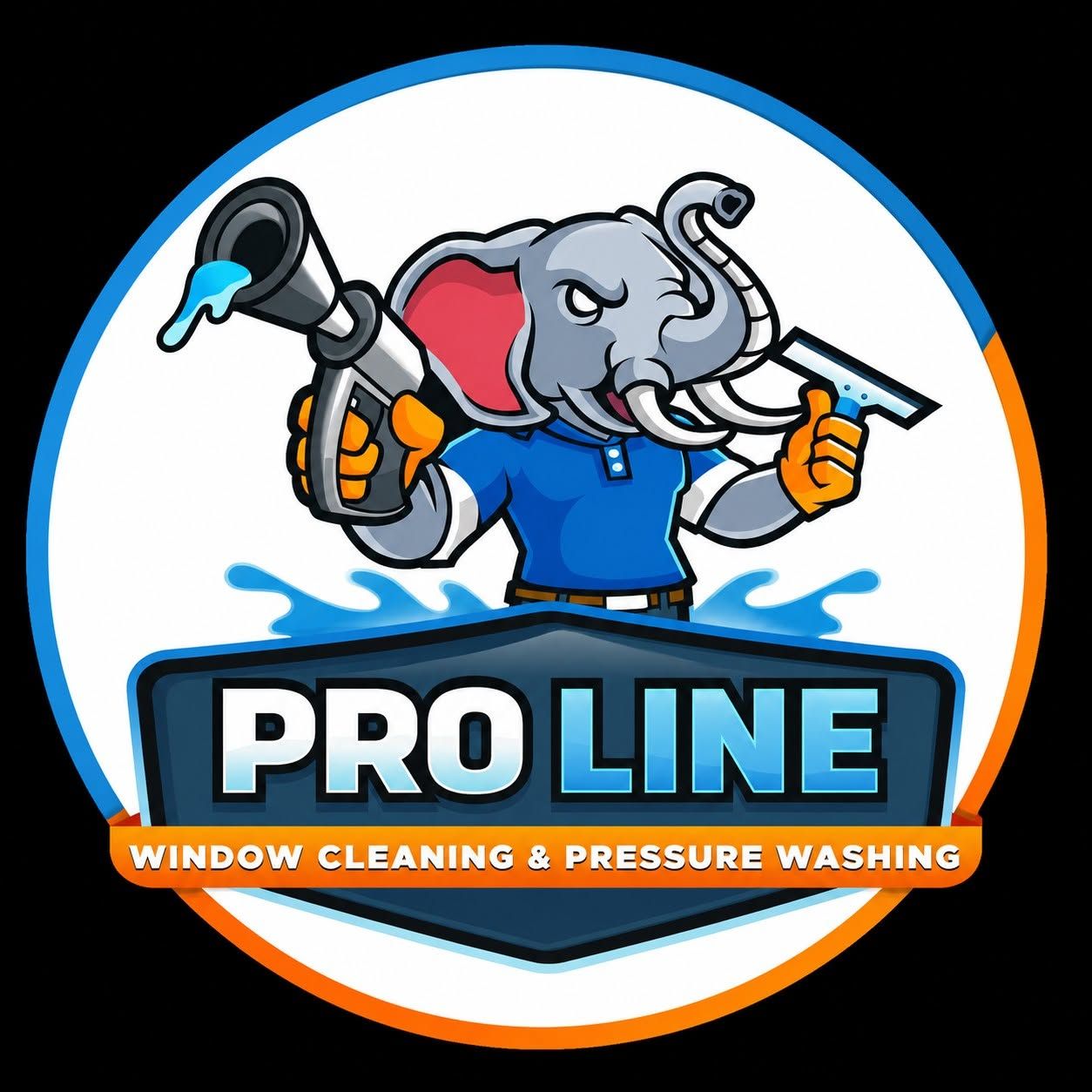 Pro Line Window Cleaning and Pressure Washing