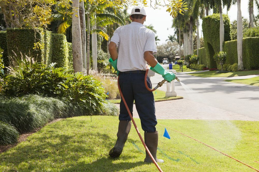 Man Spraying a Lawn with Pesticide — Gibbo’s Lawns & Property Maintenance In Nelson Bay, NSW
