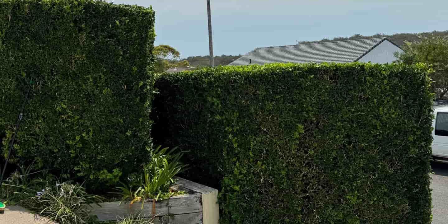 A White Van Is Parked In Front Of A Lush Green Hedge — Gibbo’s Lawns & Property Maintenance In Salamander Bay, NSW