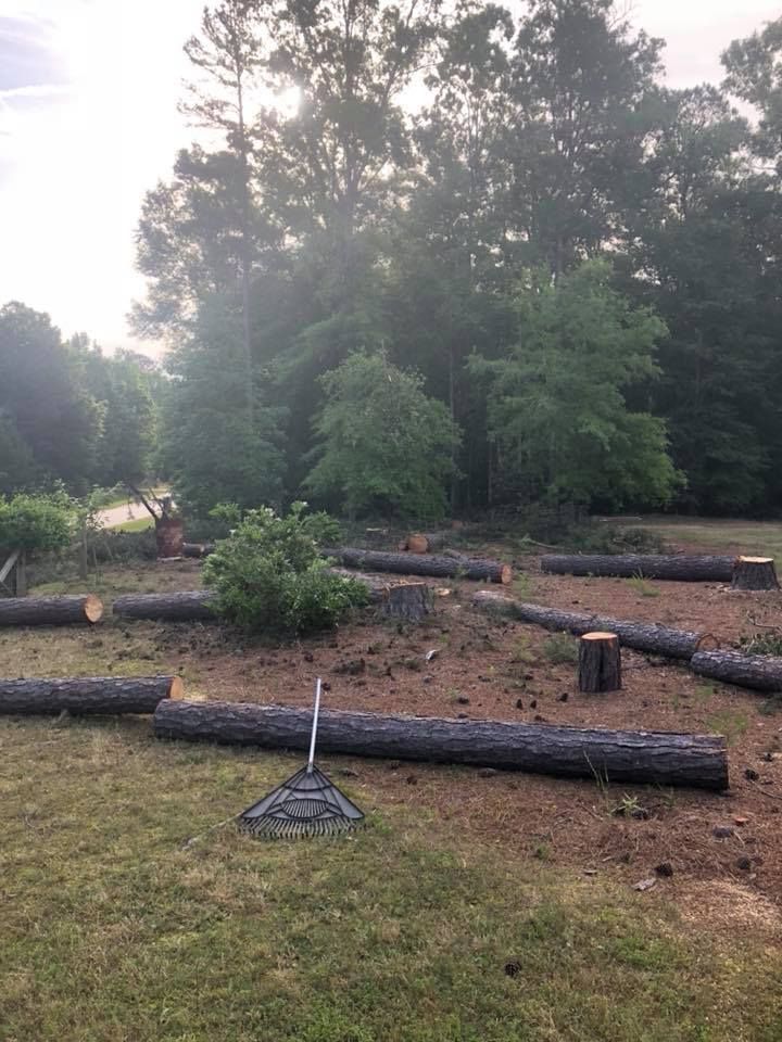 A lot of logs are laying on the ground in a yard.