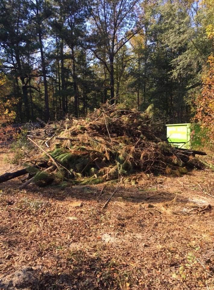 A large pile of wood is sitting in the middle of a forest.
