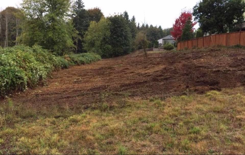 There is a lot of dirt in the middle of the field.