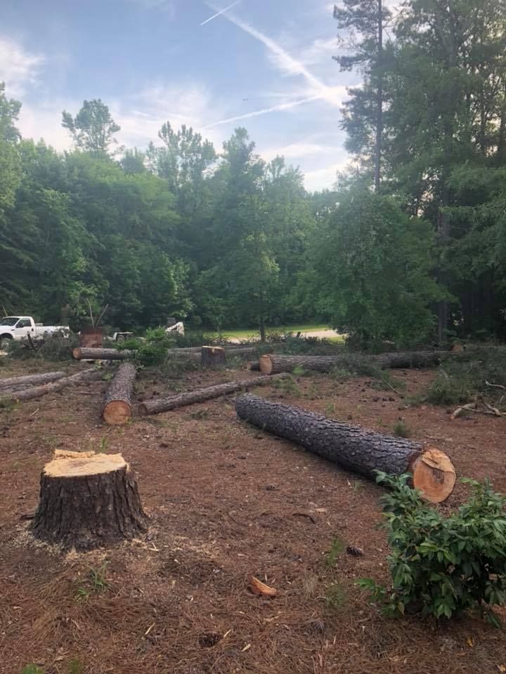 A lot of logs are laying on the ground in a field.