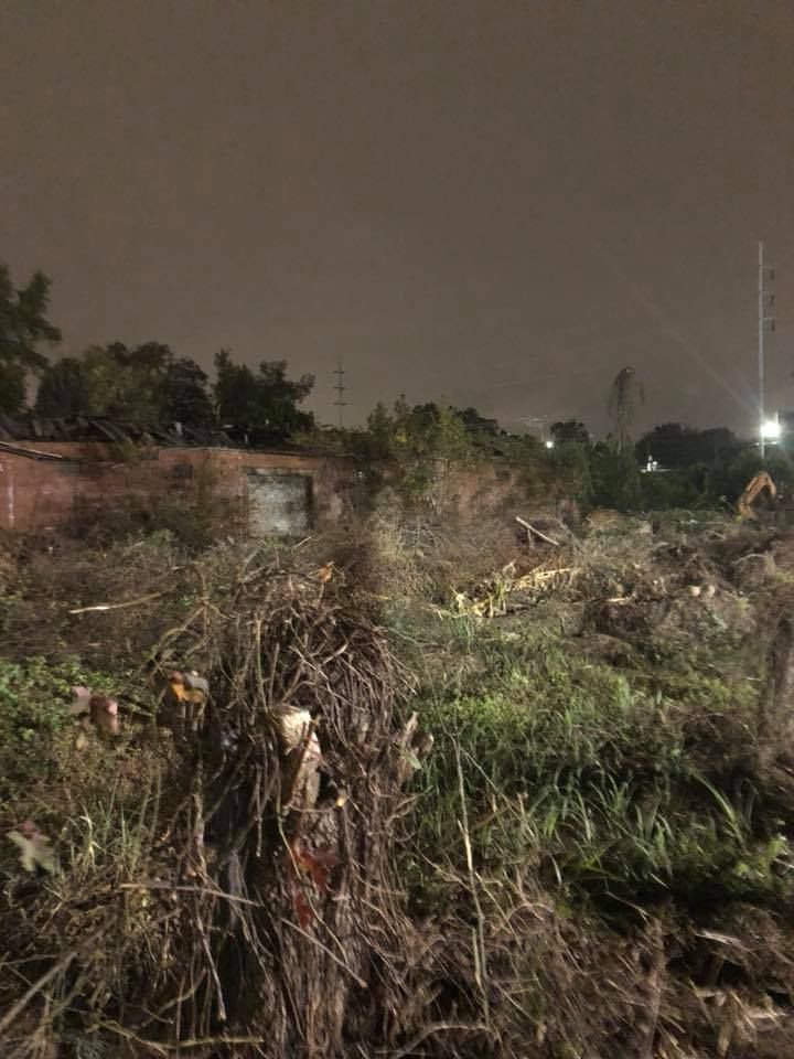 A field with a lot of grass and trees at night.