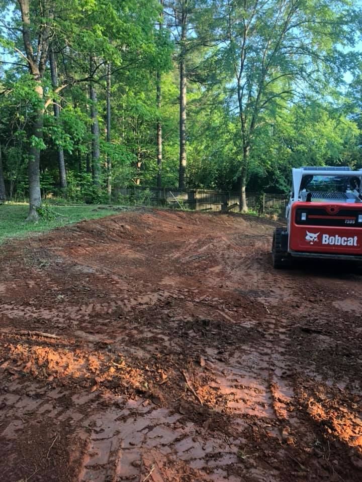 A bobcat is driving down a dirt road in the woods.