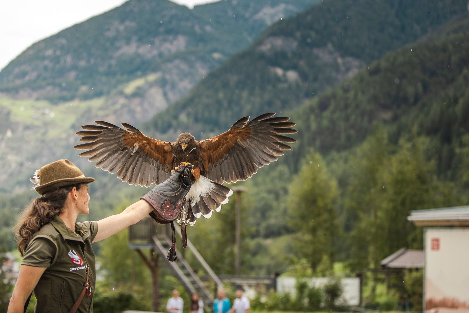 Eine Frau hält einen Adler mit ausgebreiteten Flügeln im Greifvogelpark in Umhausen