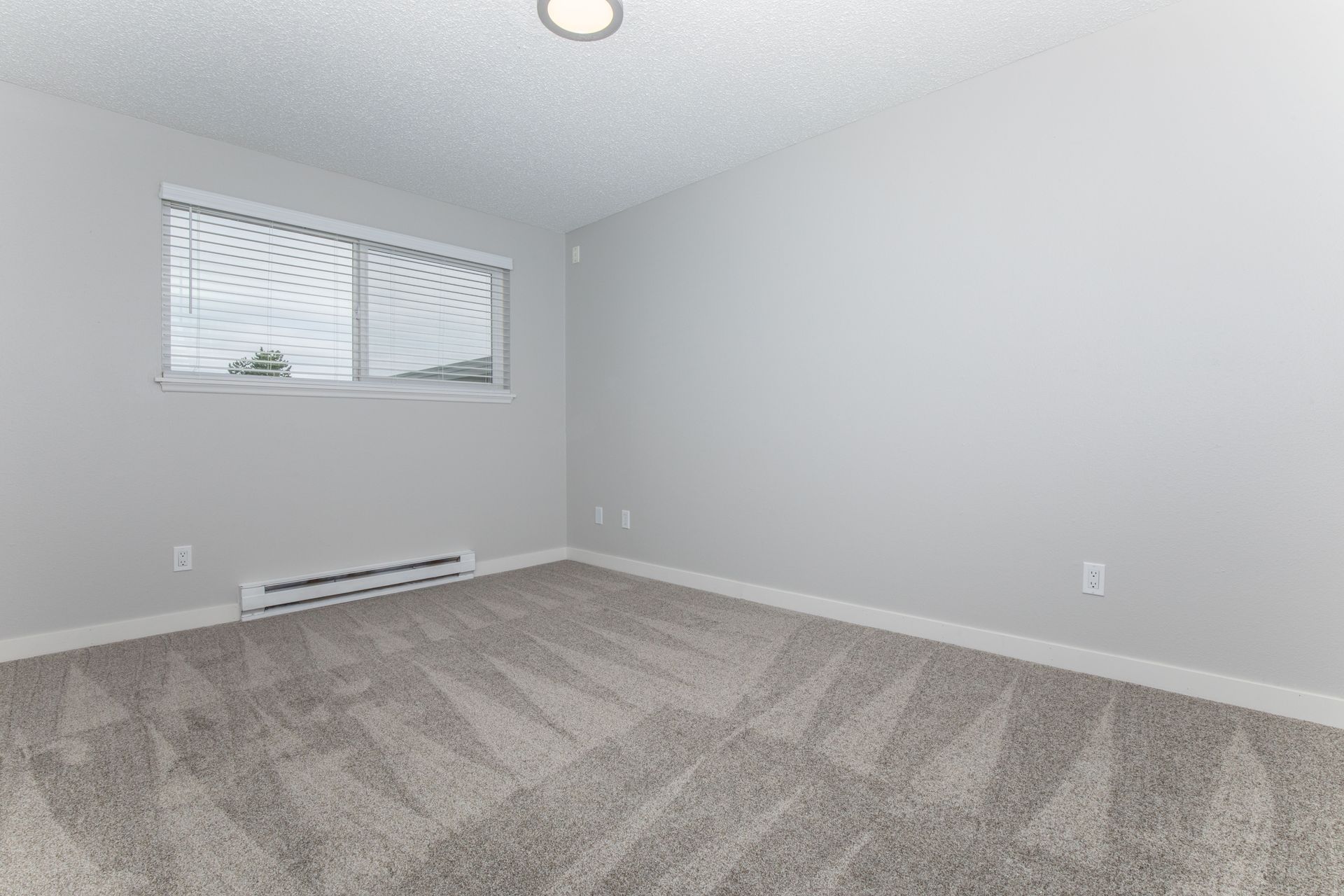 An empty bedroom with a window and a carpeted floor.