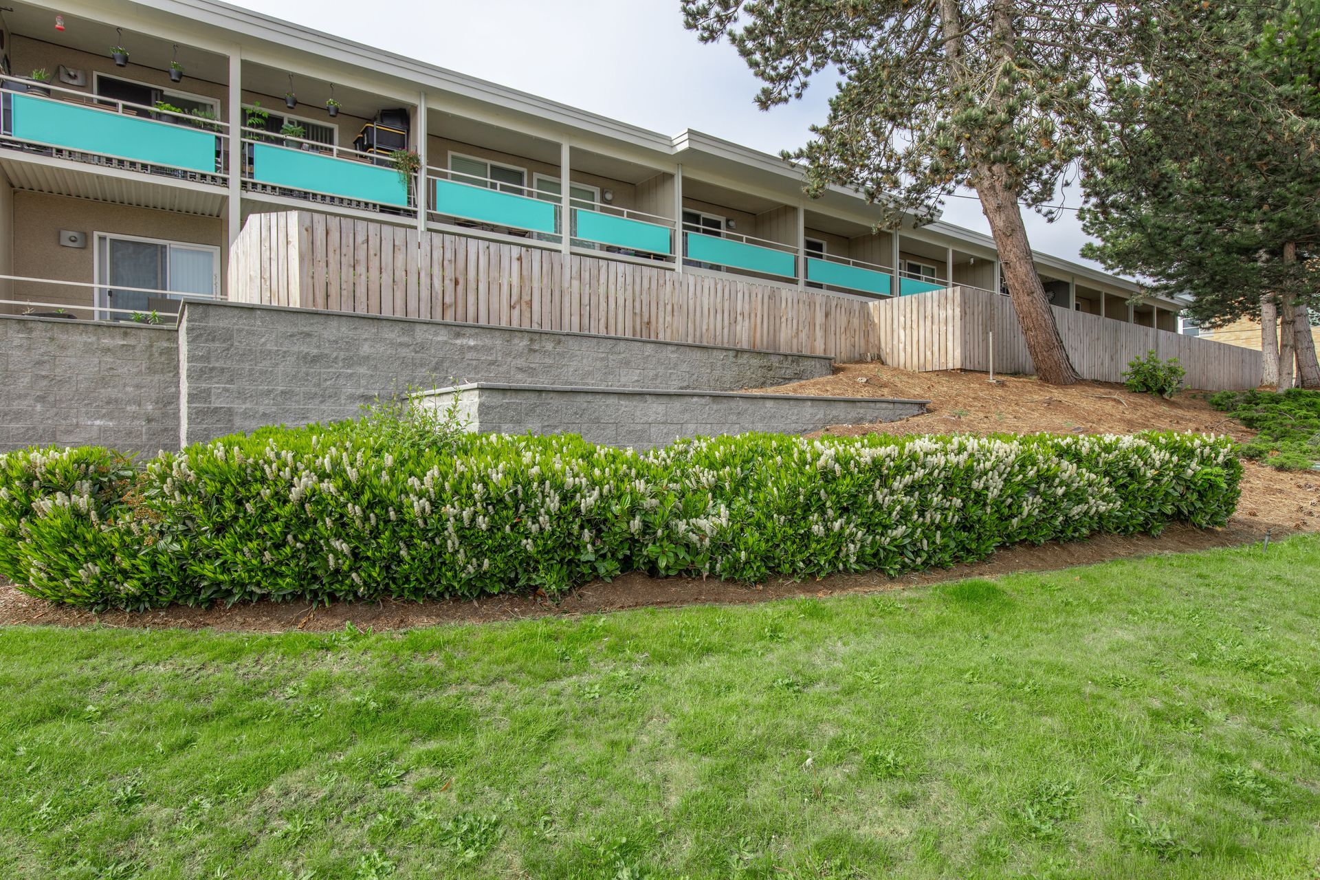 A large apartment building with a lush green lawn in front of it.