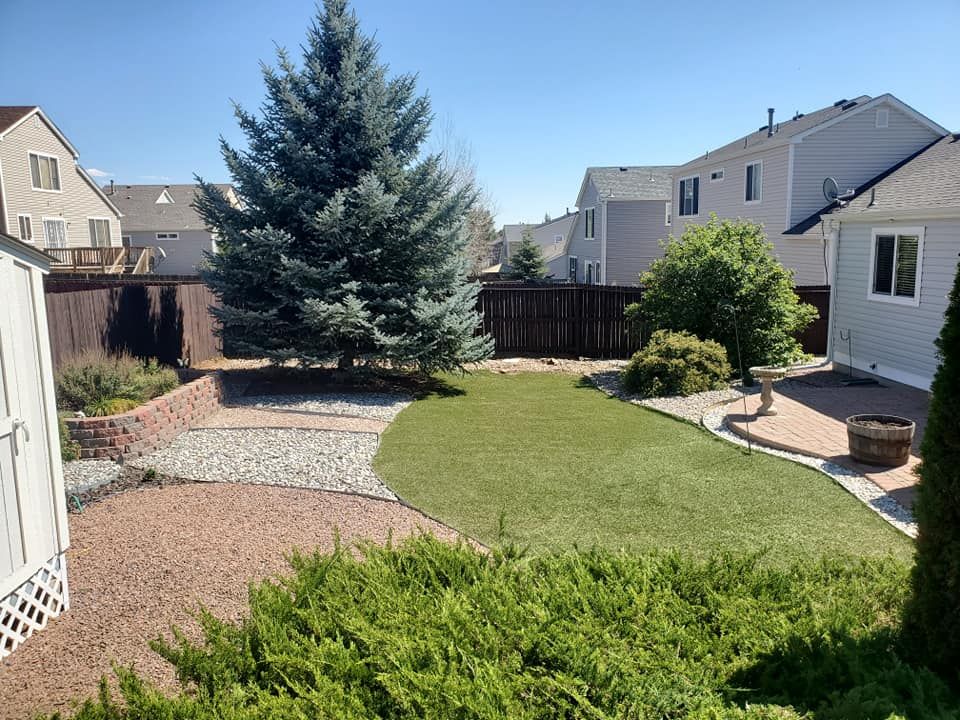 Black Bear Tree Care Top Rated Tree Services Colorado Springs, Colorado