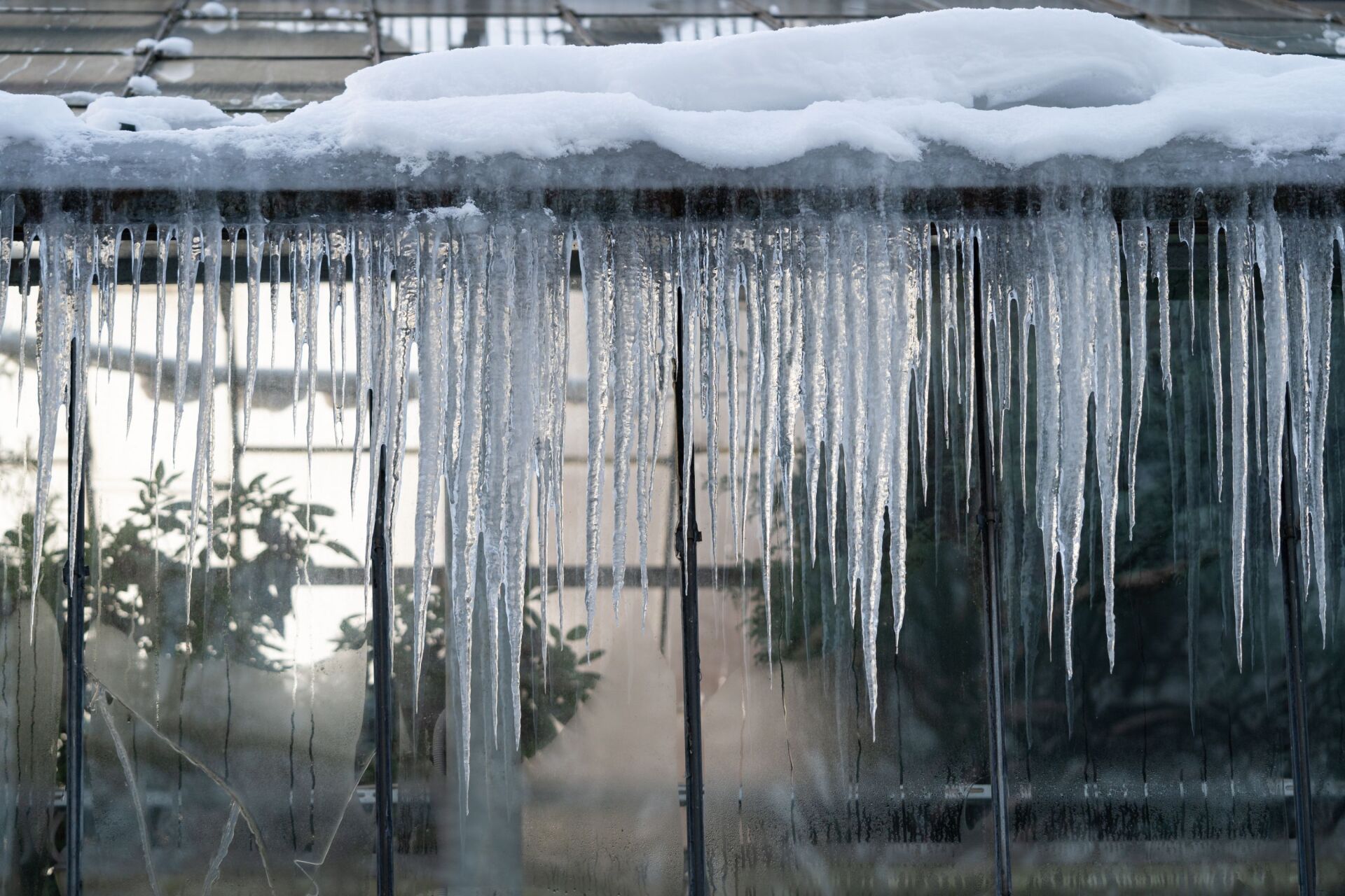 Top 5 Causes of Winter Mold | BioClean NY
