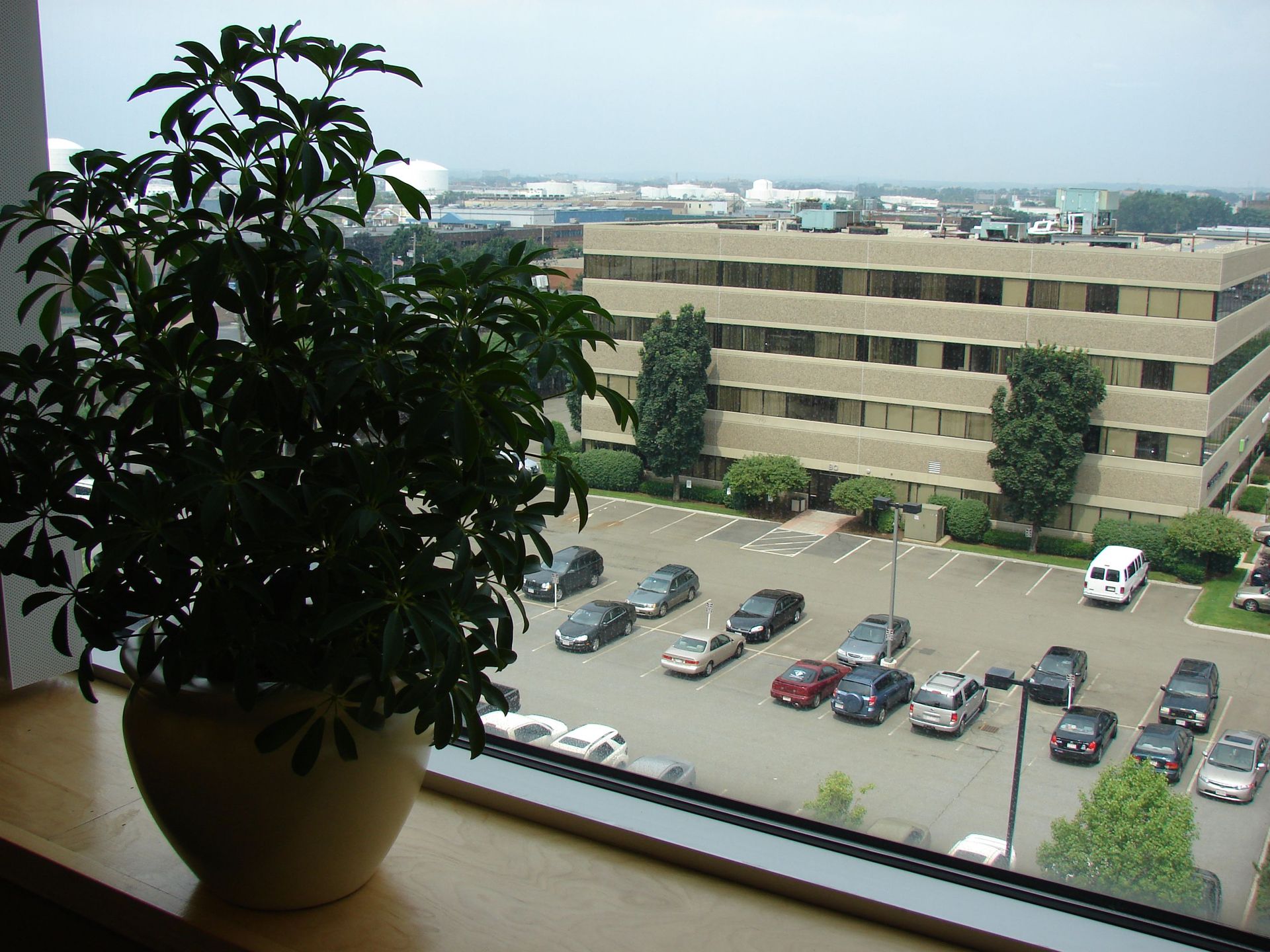 A potted plant sits in front of a window overlooking a parking lot