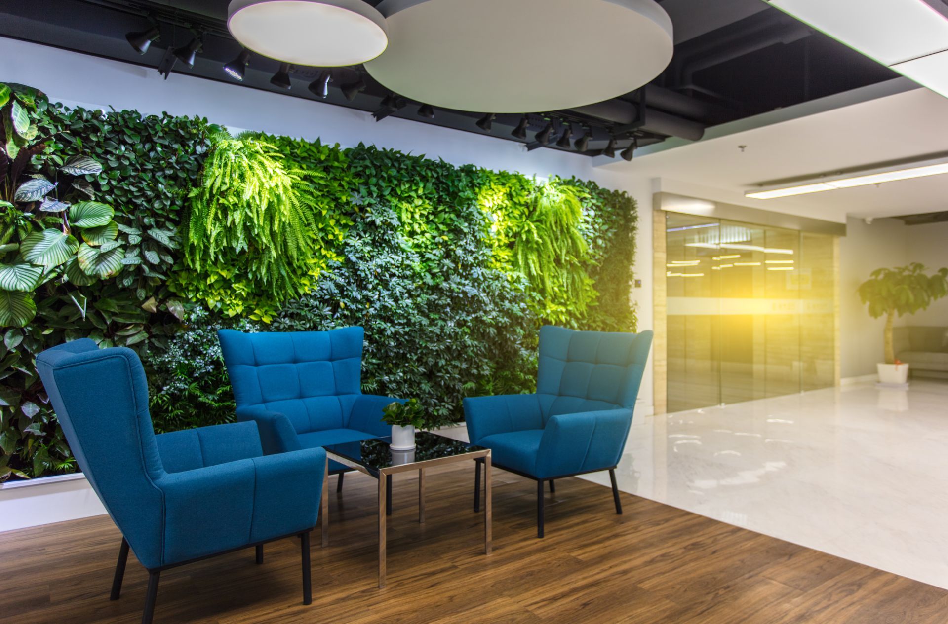 A waiting room with blue chairs and a green wall.