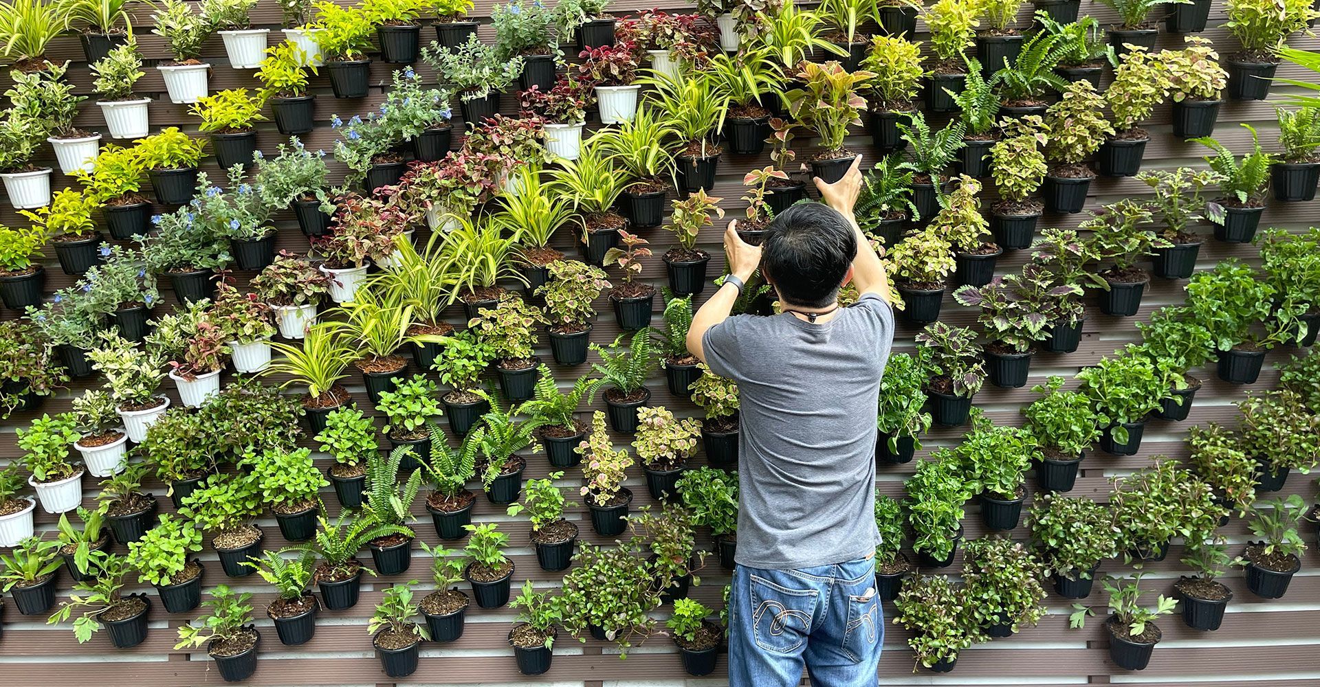 A man is standing in front of a wall of potted plants.