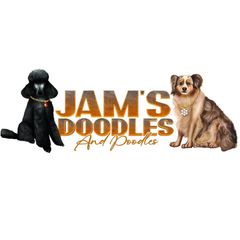 Jams Doodles and Poodles logo