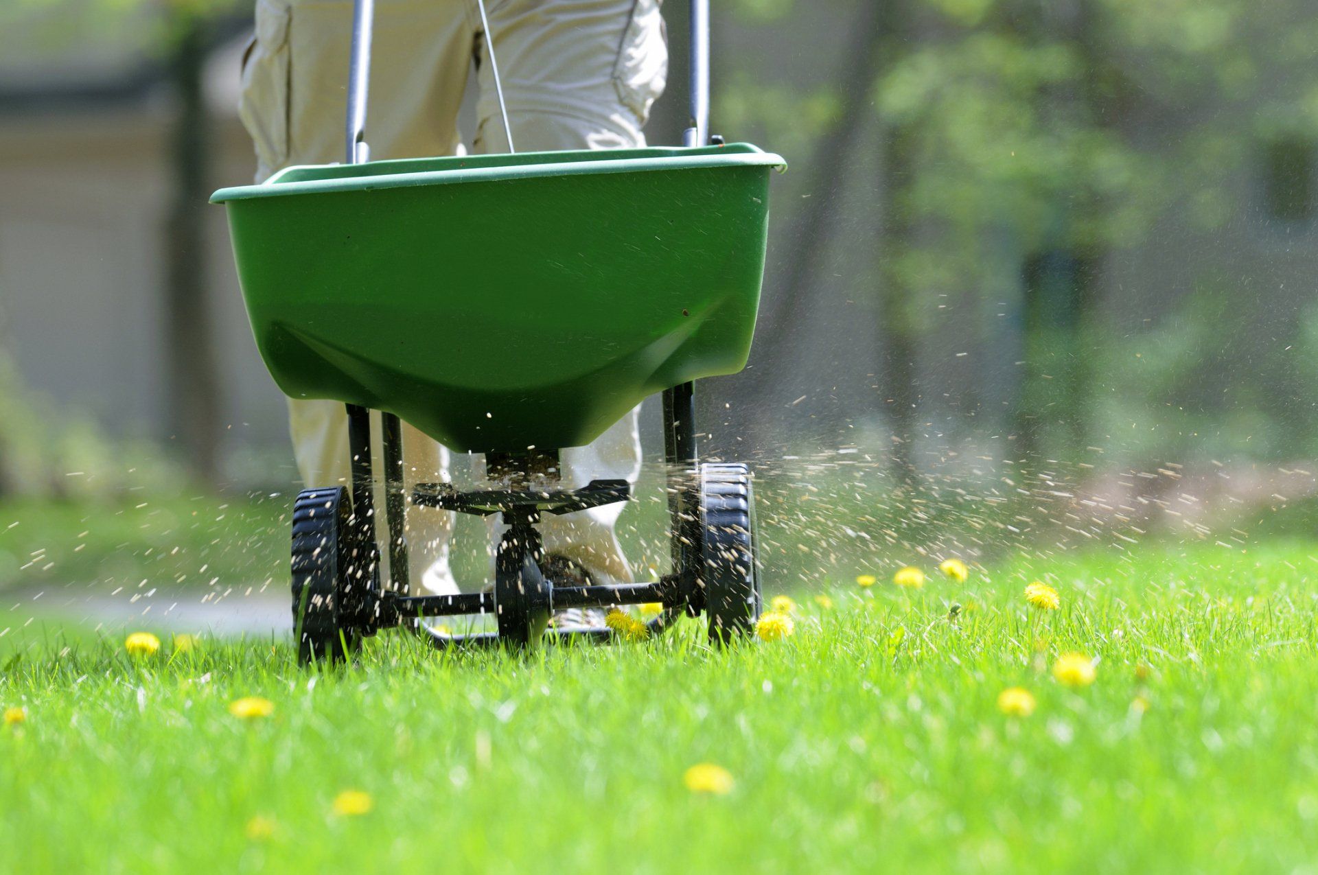 Professional Gardener Trimming - Canton, OH - Warstler Bros Landscaping