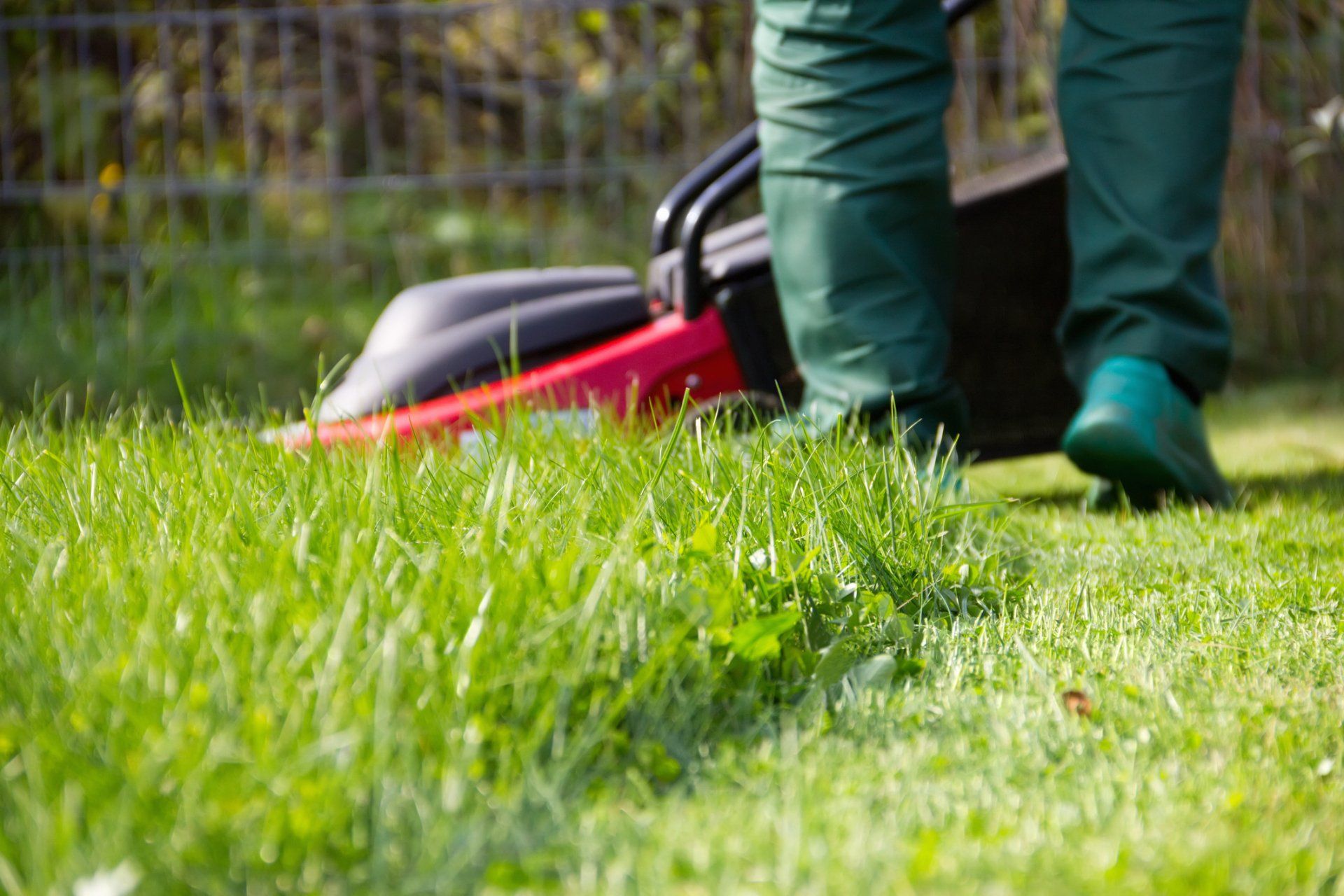 Man Using Lawn Mower - Canton, OH - Warstler Bros Landscaping