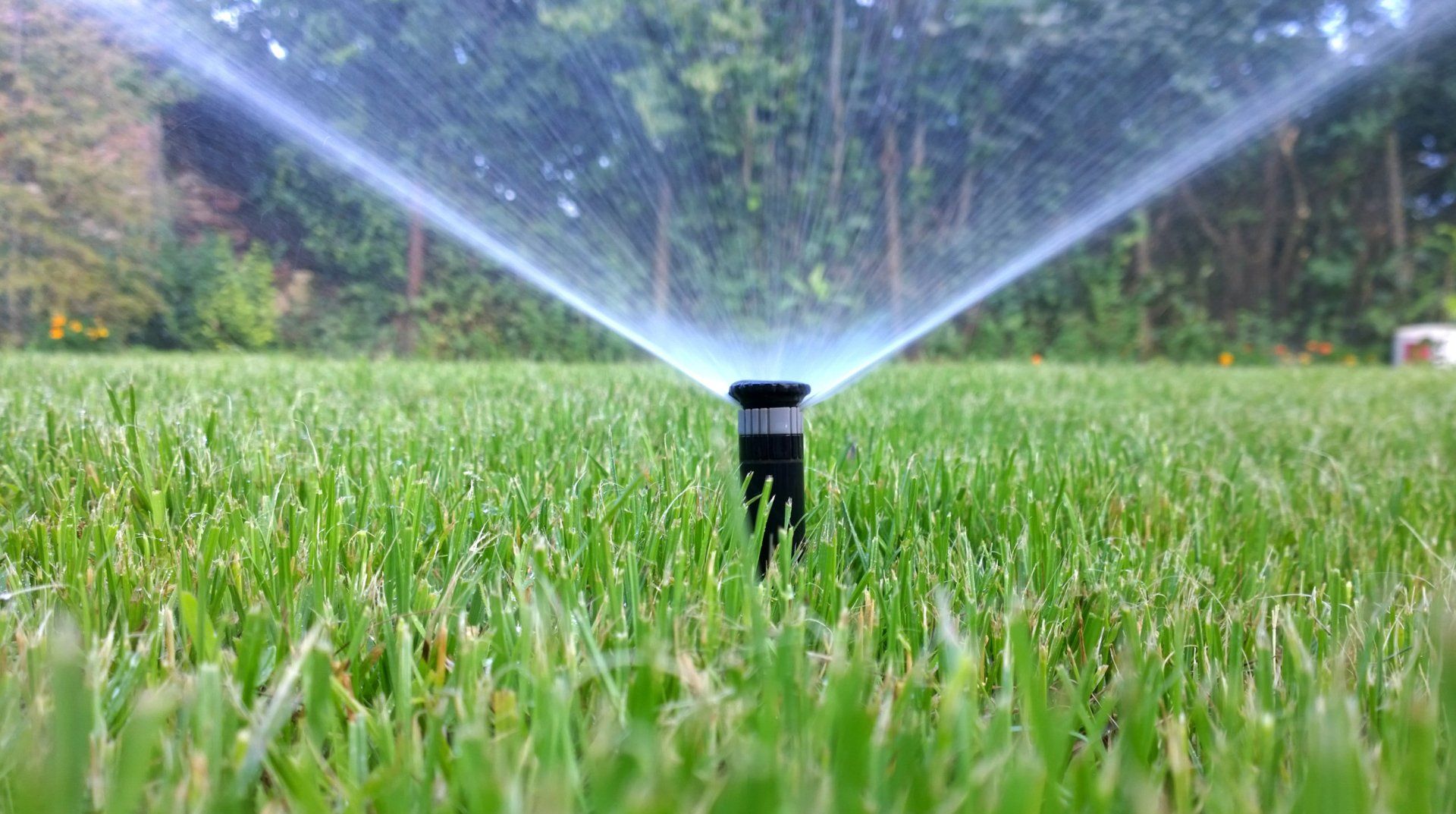 Professional Gardener Trimming - Canton, OH - Warstler Bros Landscaping