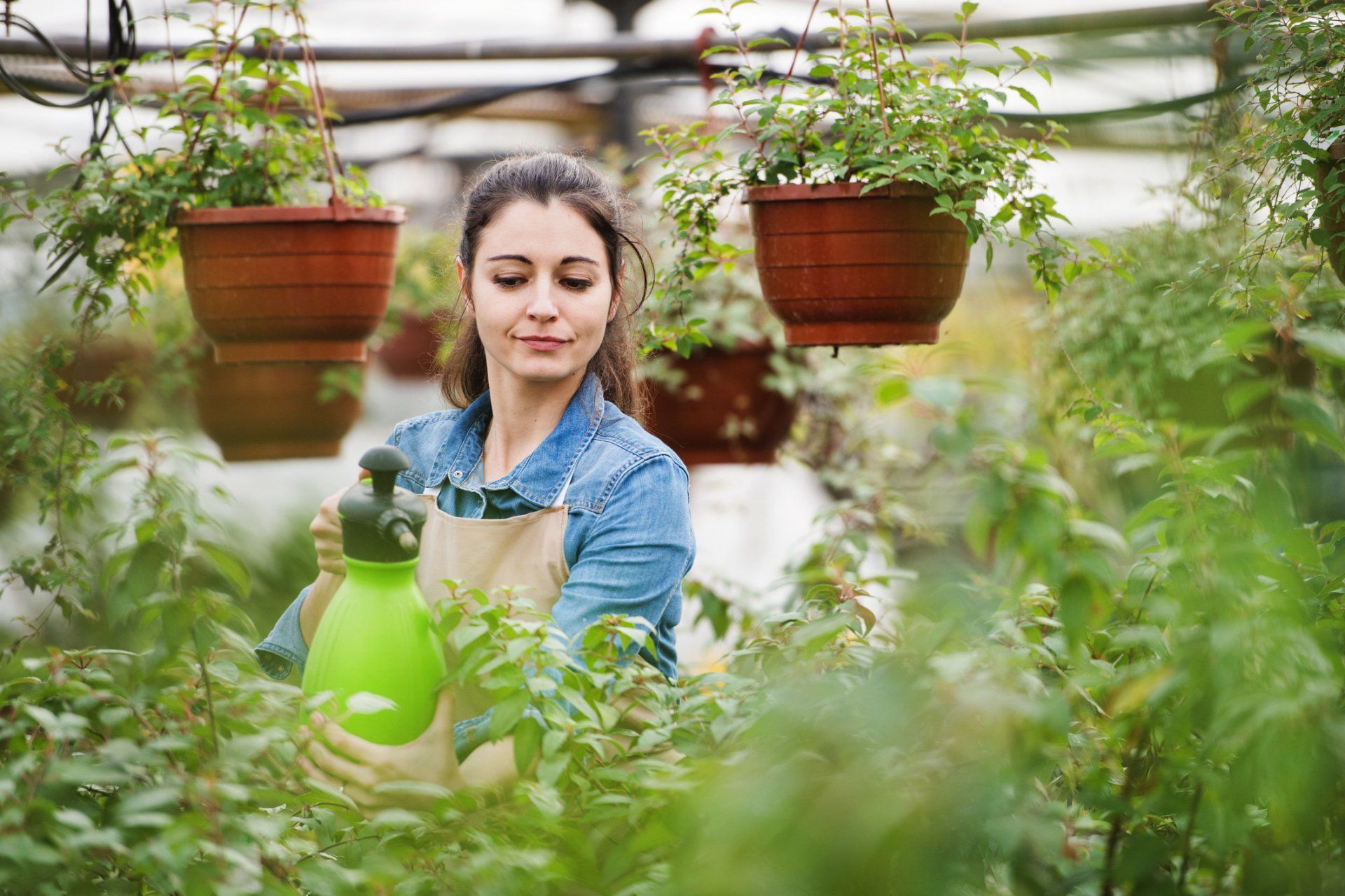 Young Woman Gardener - Canton, OH - Warstler Bros Landscaping
