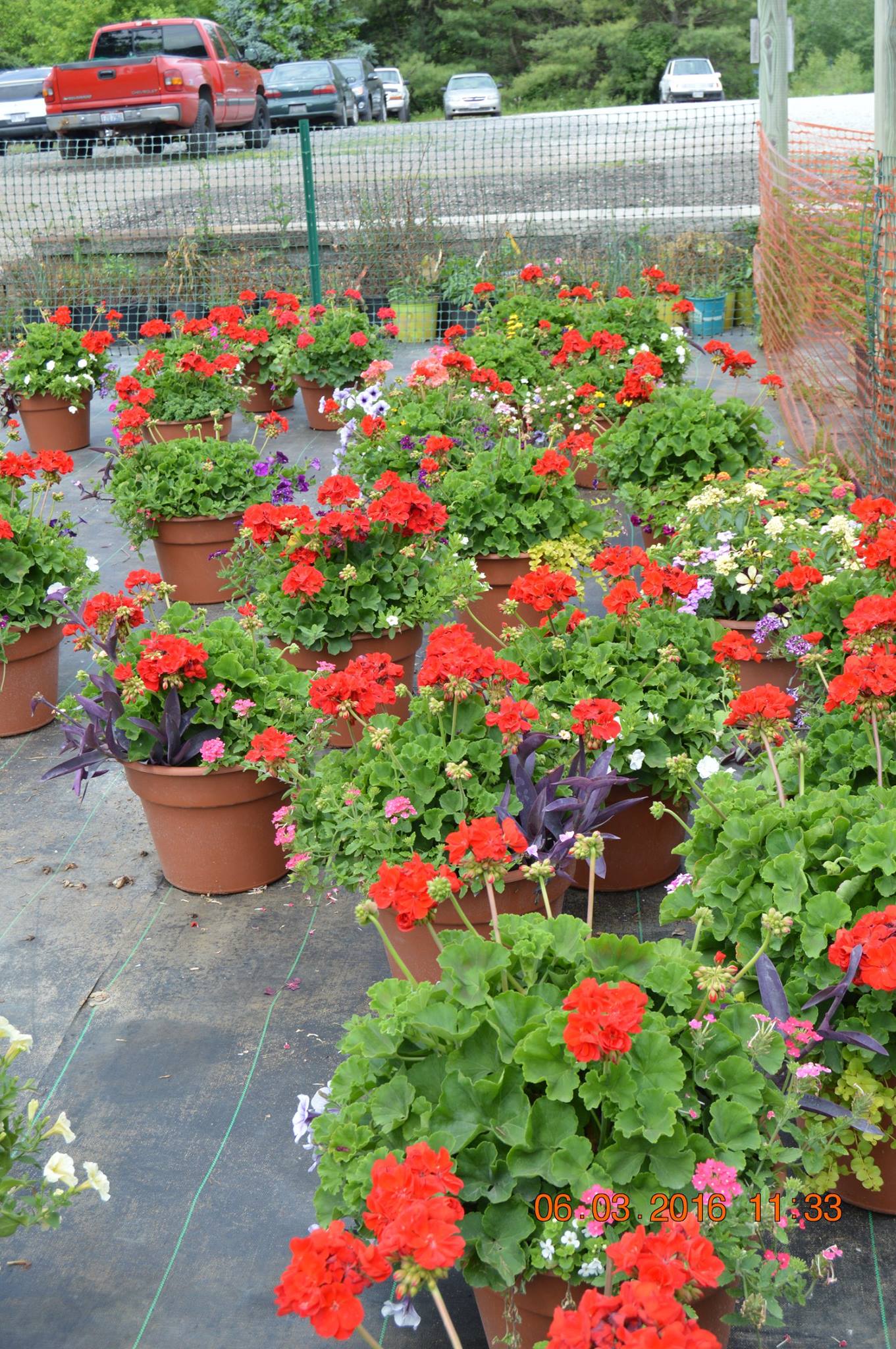 Flowers On The Vase - Canton, OH - Warstler Bros Landscaping Flowers On The Vase - Canton, OH - Warstler Bros Landscaping