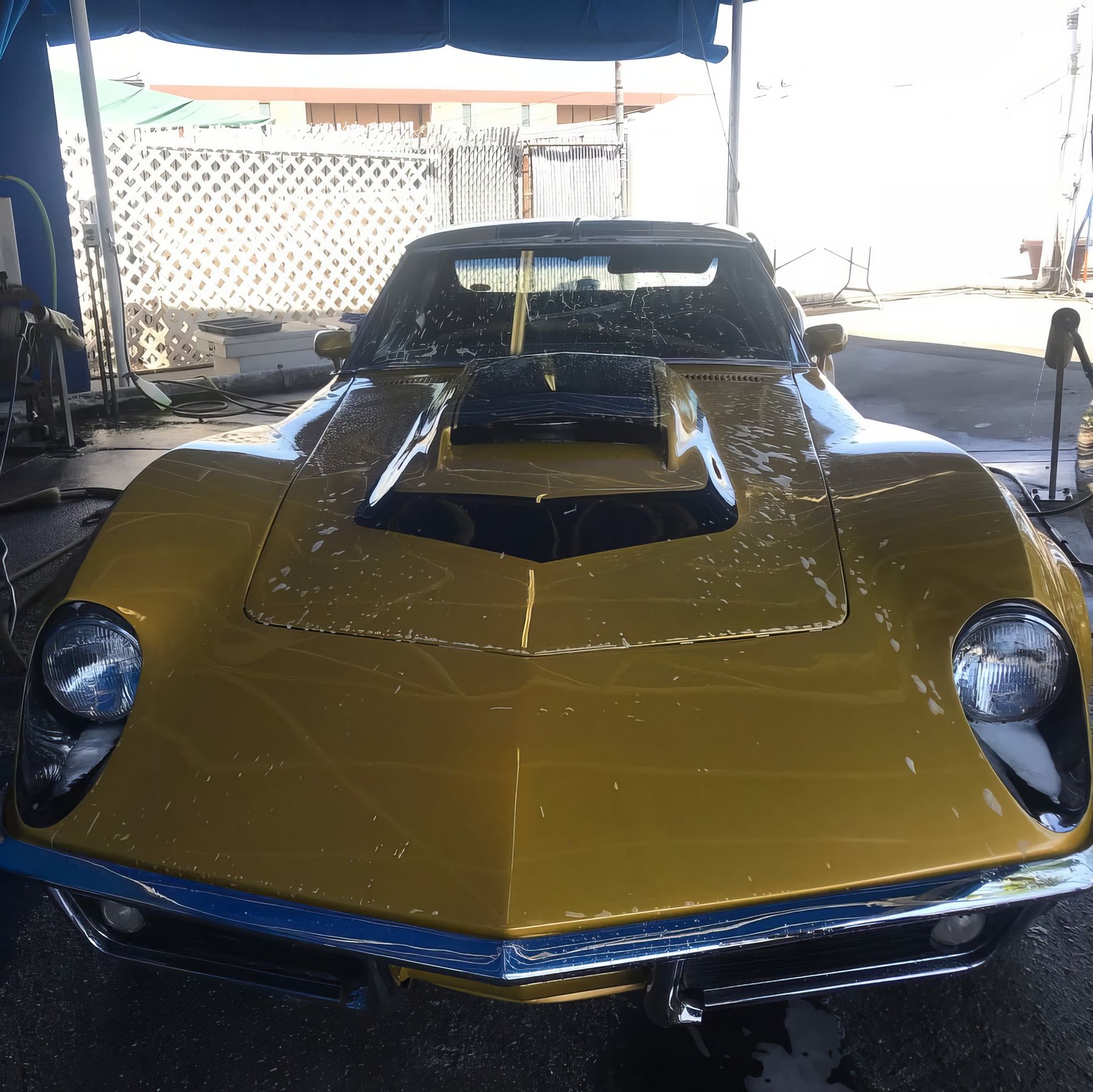 Yellow classic sports car parked under a canopy, front view with black hood scoop.