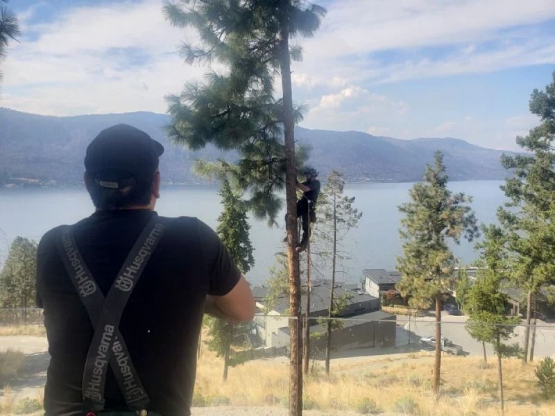 Person standing on a hillside overlooking a lake and mountains, with trees and a cabin in the foreground