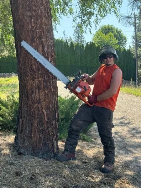 Person in orange vest holds a chainsaw beside a large tree outdoors.