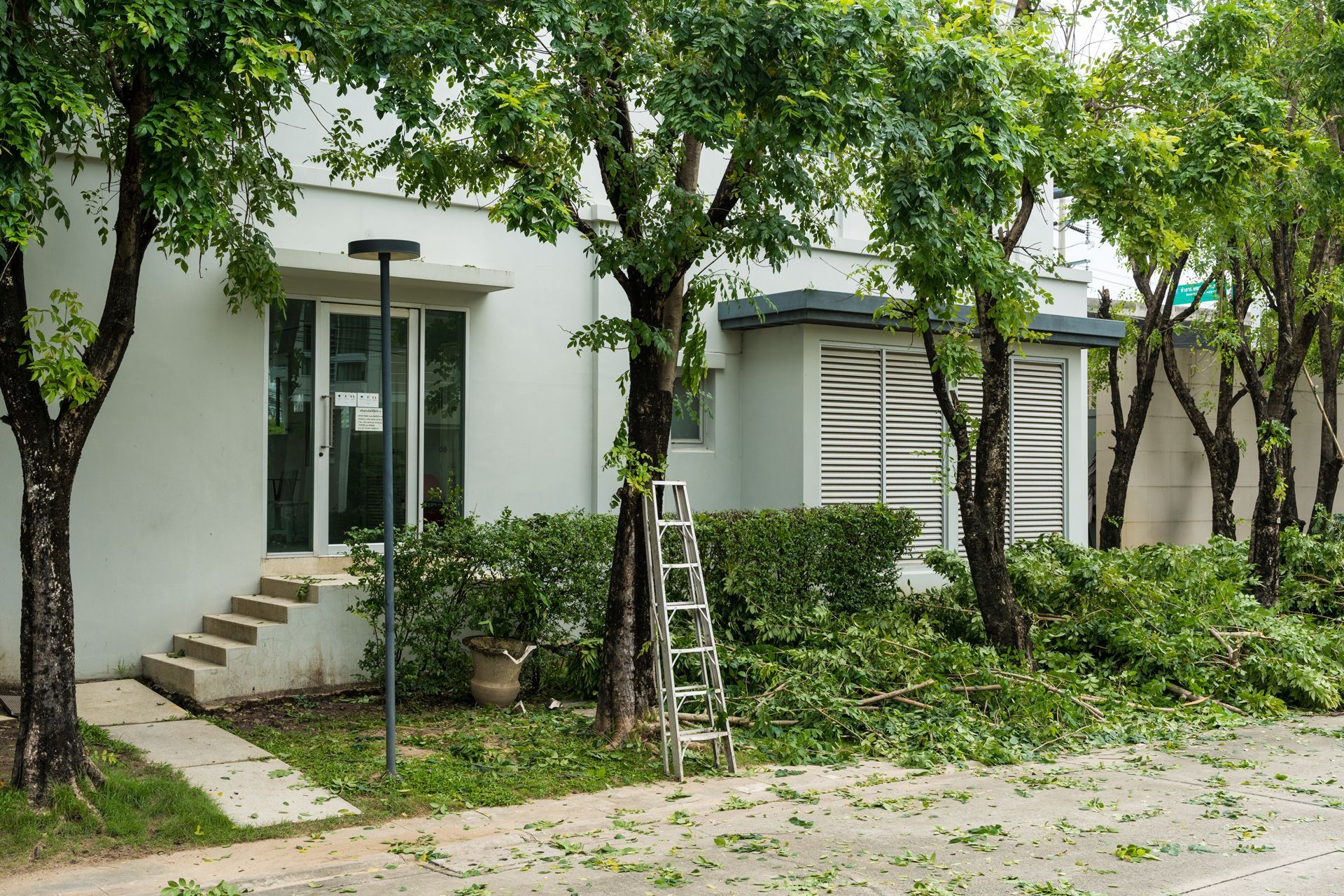 House exterior with trees, bushes, and a ladder on the lawn under a cloudy sky