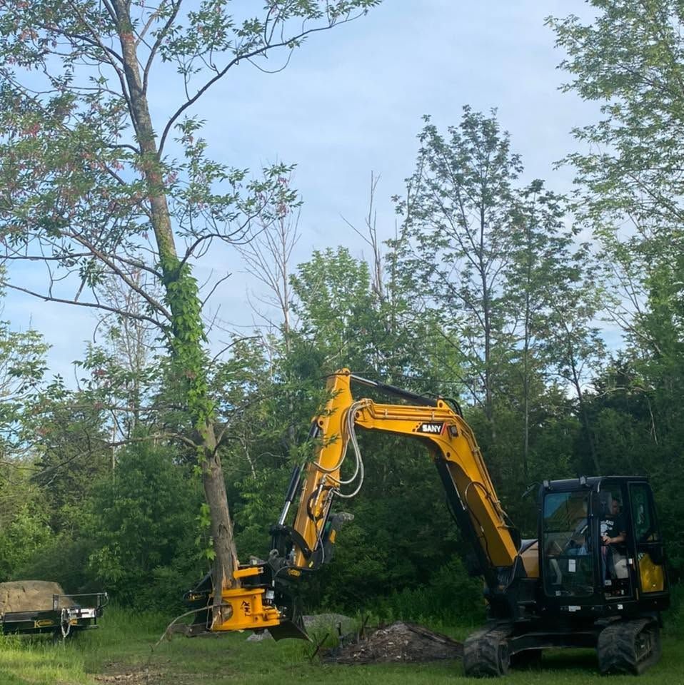 Tree Shearing