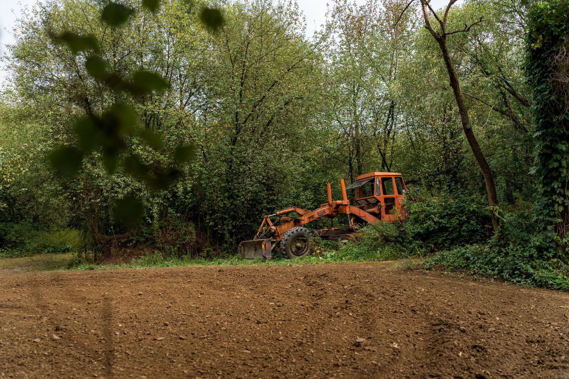 Orange land clearing machine on a wooded lot with freshly cleared bare ground in the foreground