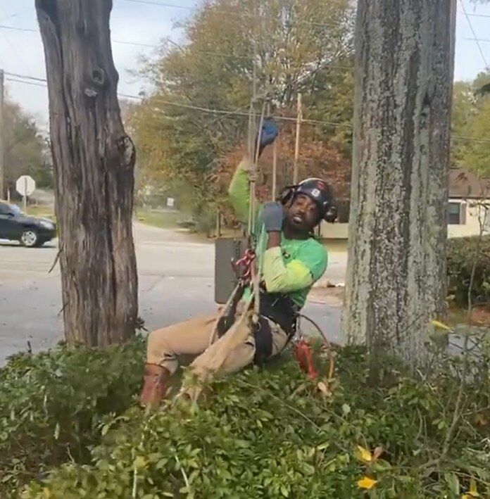 Tree Up Tree Down crew member in a climbing harness and helmet rigging a tree for removal beside a street in Atlanta, GA