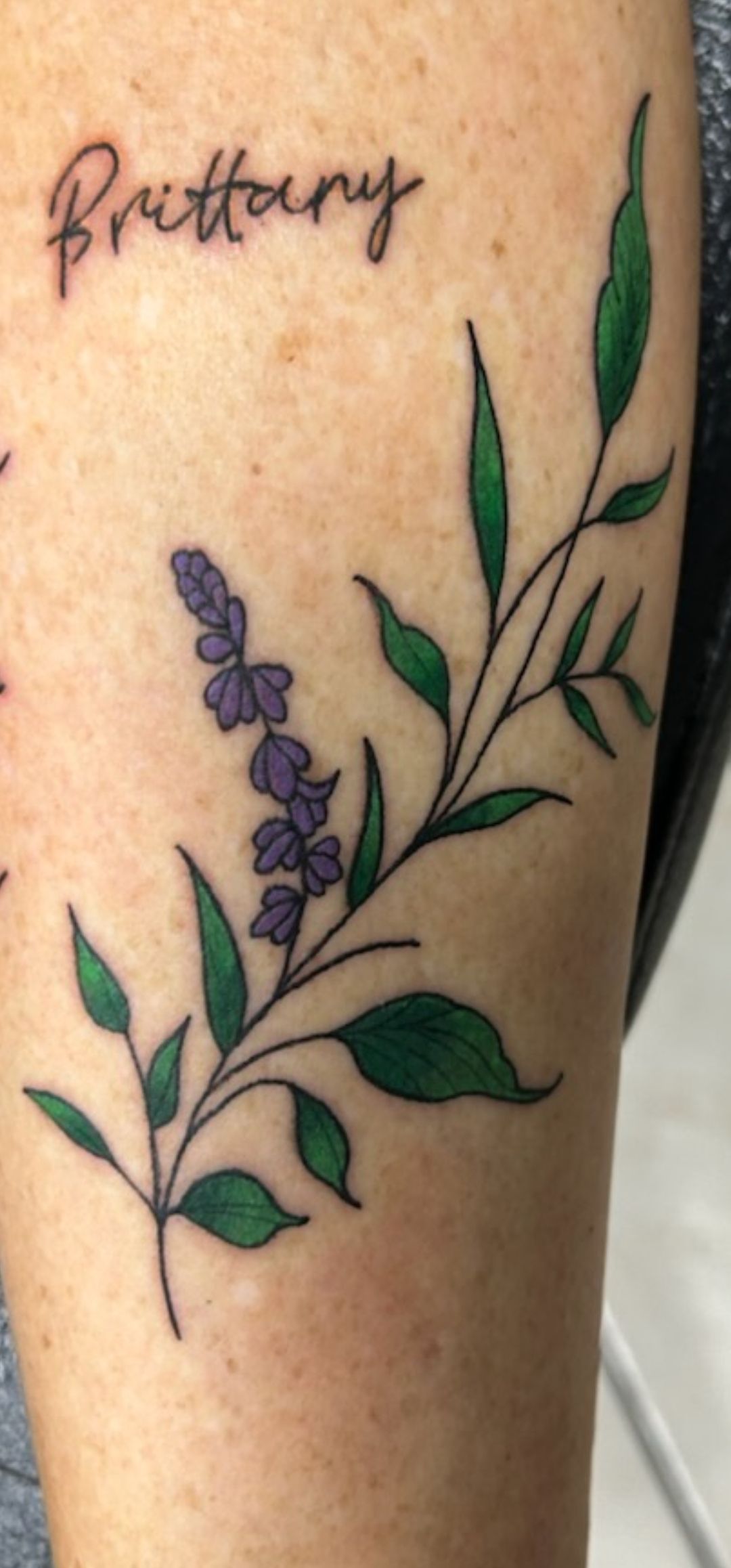 “Brittany” tattoo with a green leafy vine and purple flowers on skin