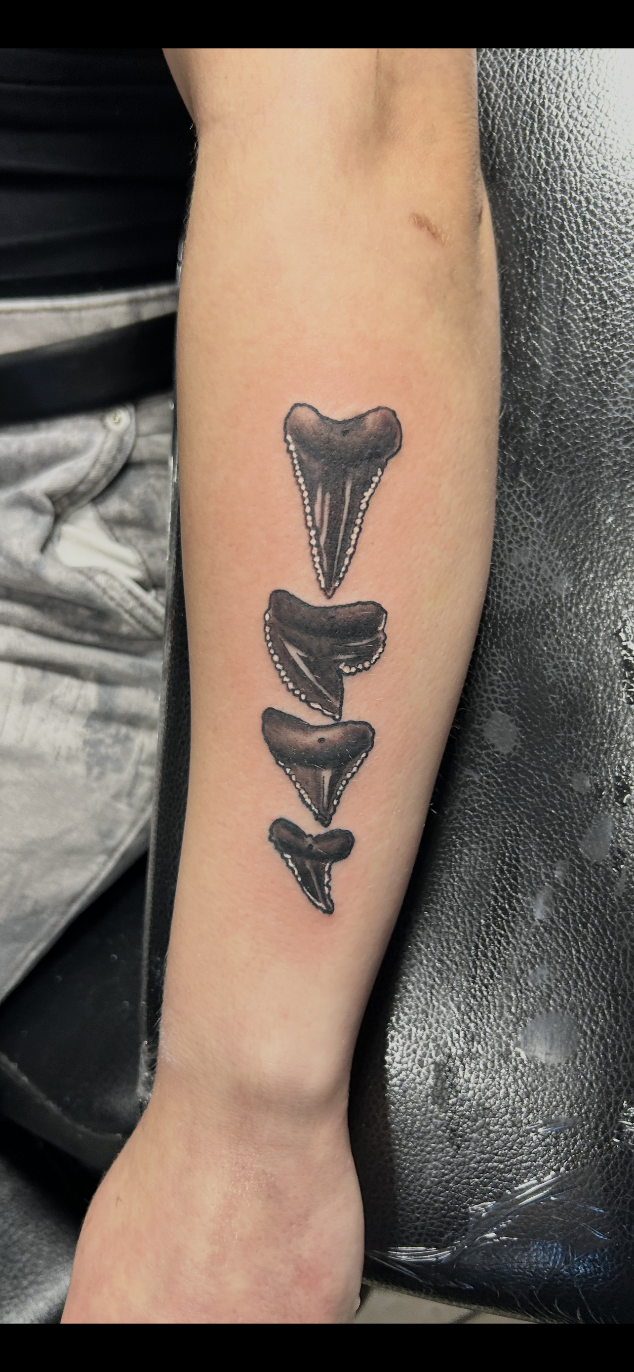 Tattoo of shark teeth in a row down a forearm. Black and gray ink.