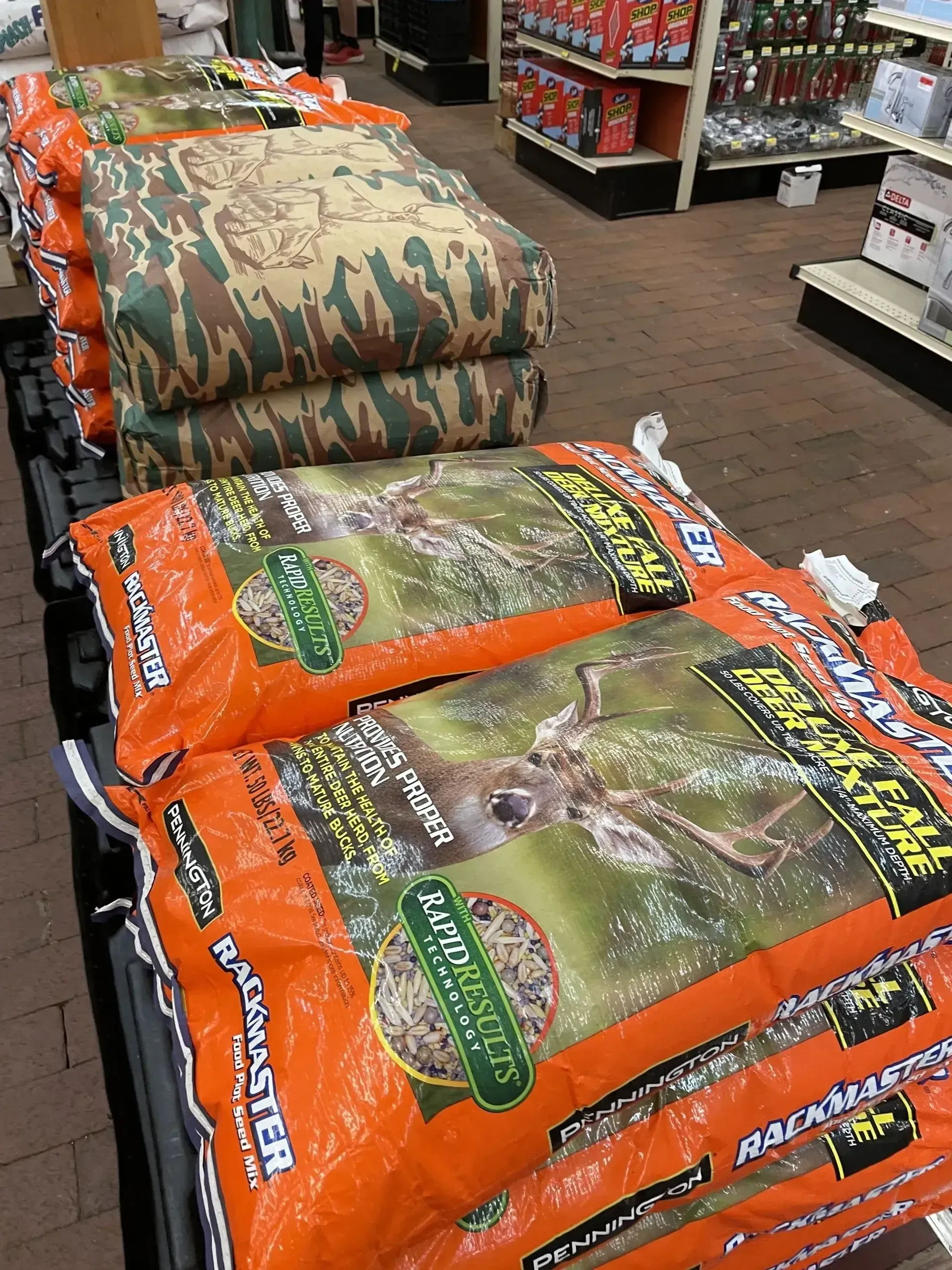 deer feeds