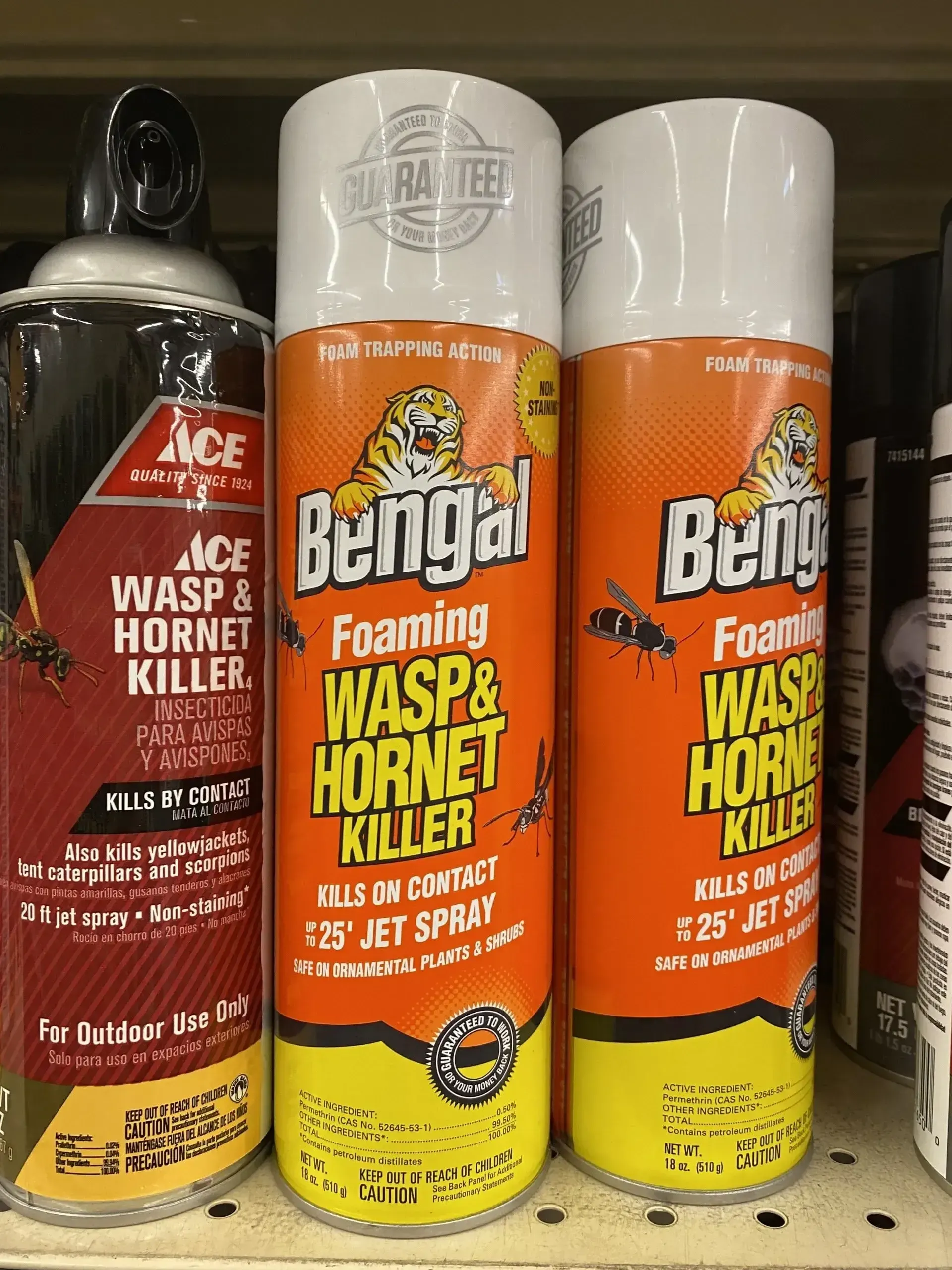 Three cans of bengal foaming wasp and hornet killer on a shelf