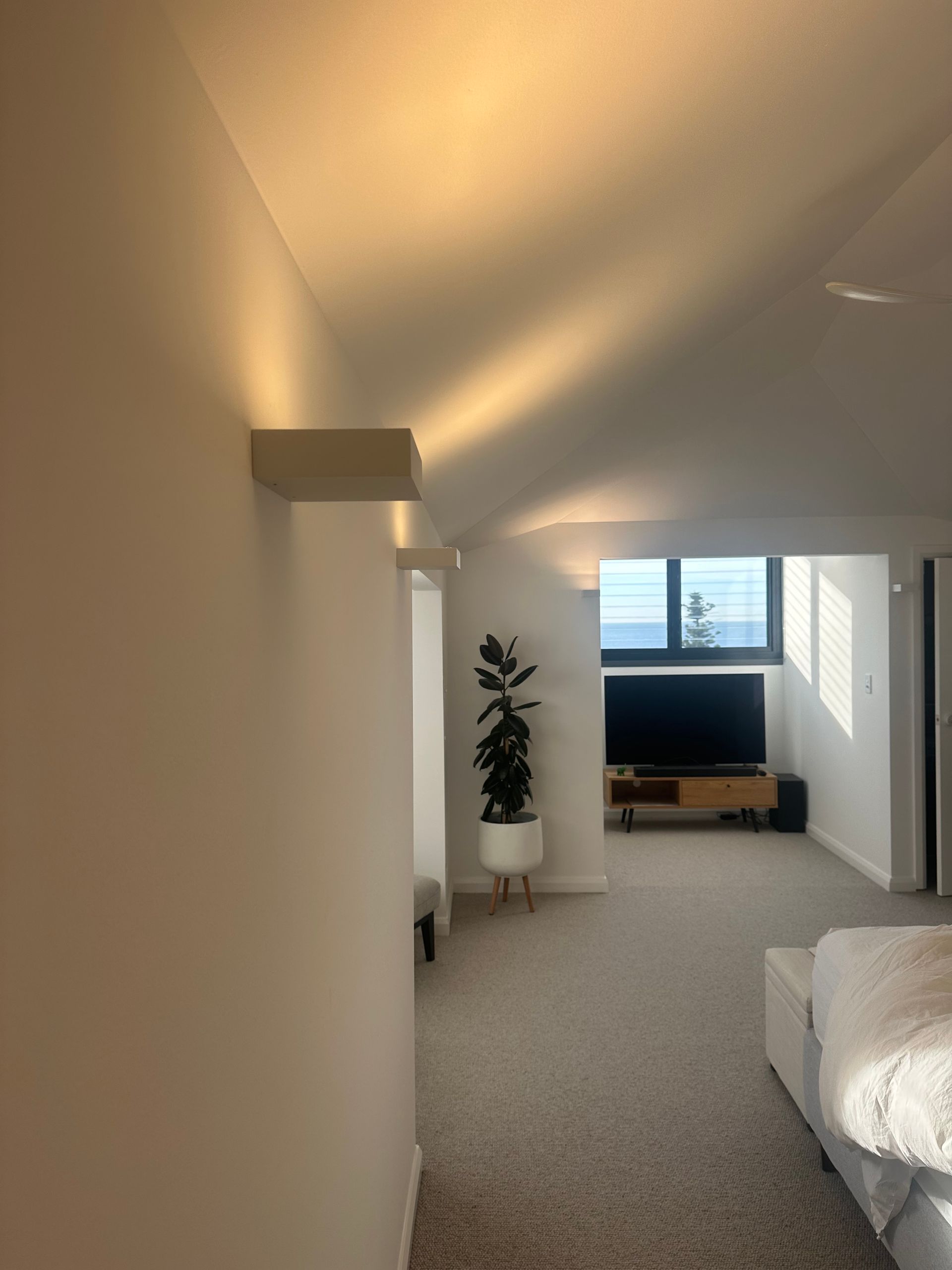 White-walled Room With a Plant, TV, and Sunlight Streaming — SparkSafe Electrical in Shellharbour, NSW