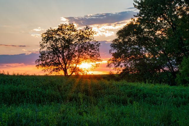 Calm sunset over open grassland and trees symbolizing peace and reflection for families in Biddeford, ME seeking cremation services
