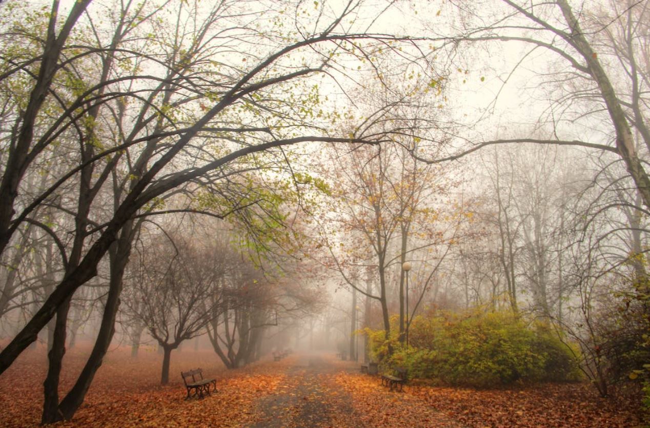 cremation service in Portland, ME
