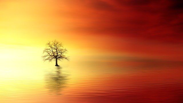 cremation services in Biddeford, ME