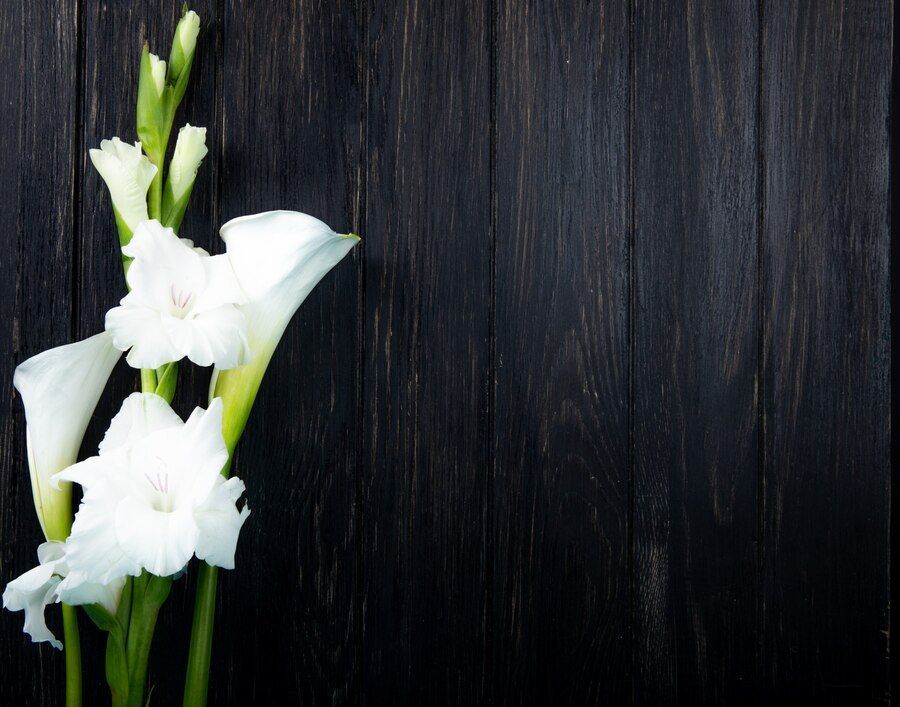 cremation services in Windham, ME