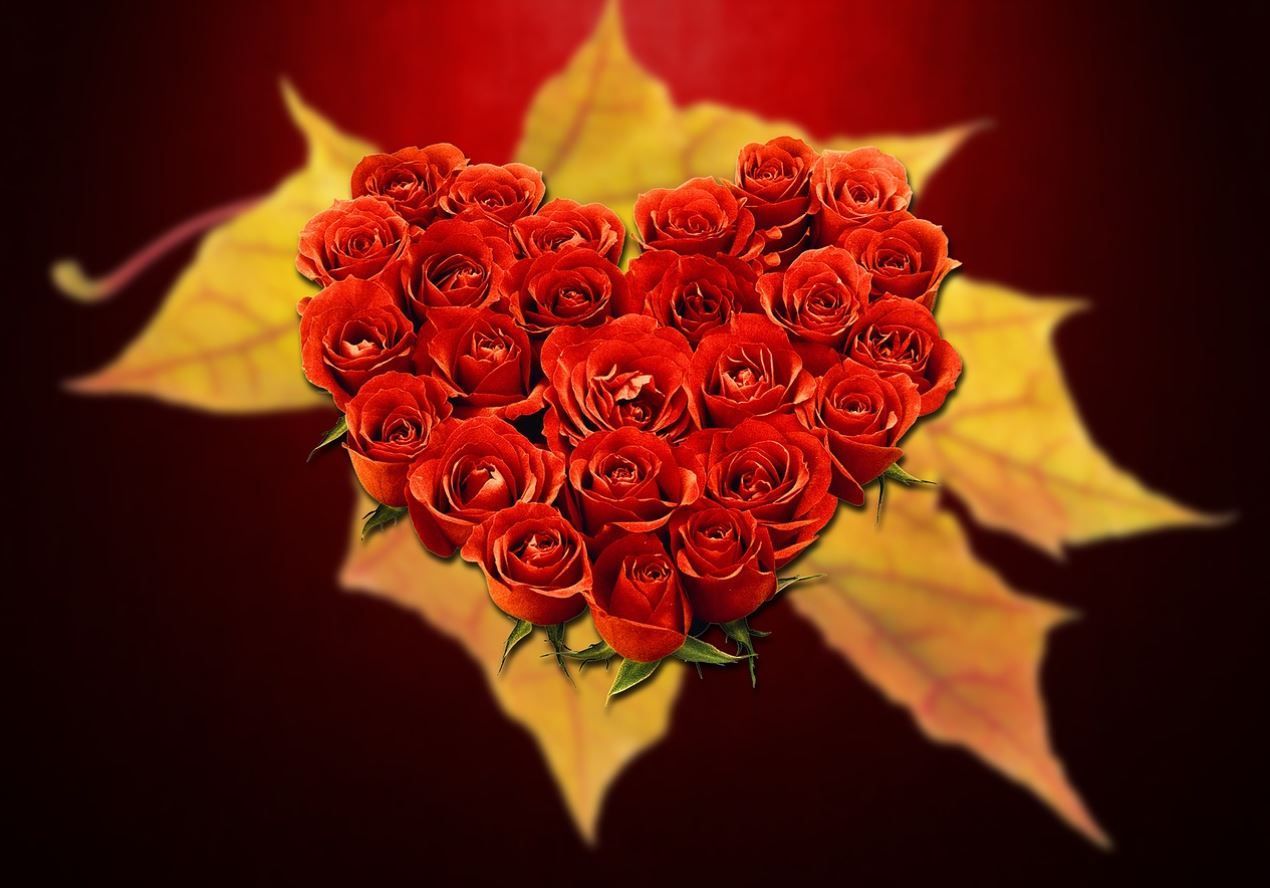 grief support for loved ones