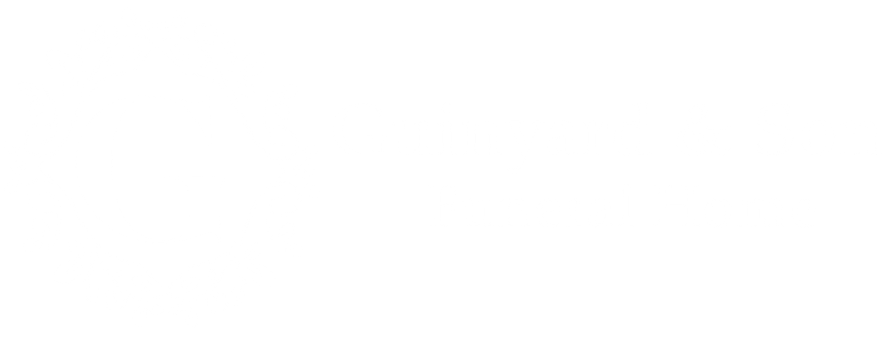 Empty image.