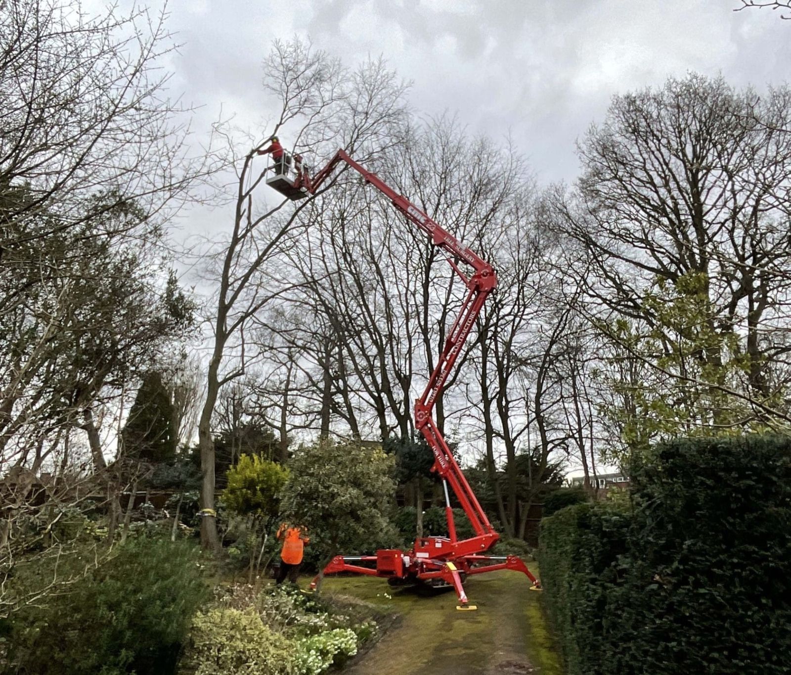 A red crane is cutting a tree in a garden.