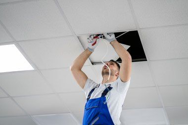 Electrician Installing Lighting to the Ceiling in Office — Electrician in Newtown, QLD