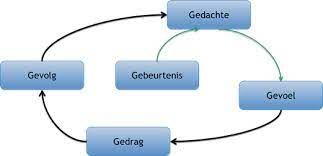 G-schema, Cognitieve Gedragstherapie