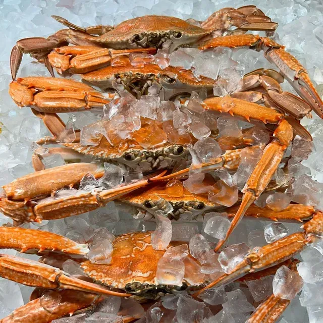 Cooked Orange Crabs on Crushed Ice — Pt Cartwright Seafoods in Warana, QLD