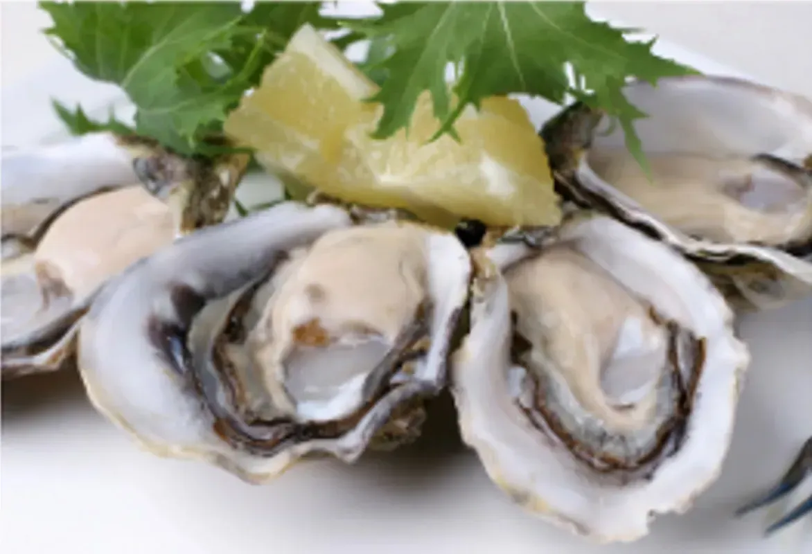 Open Oysters With Lemon Wedge and Greens on a White Plate — Pt Cartwright Seafoods in Warana, QLD