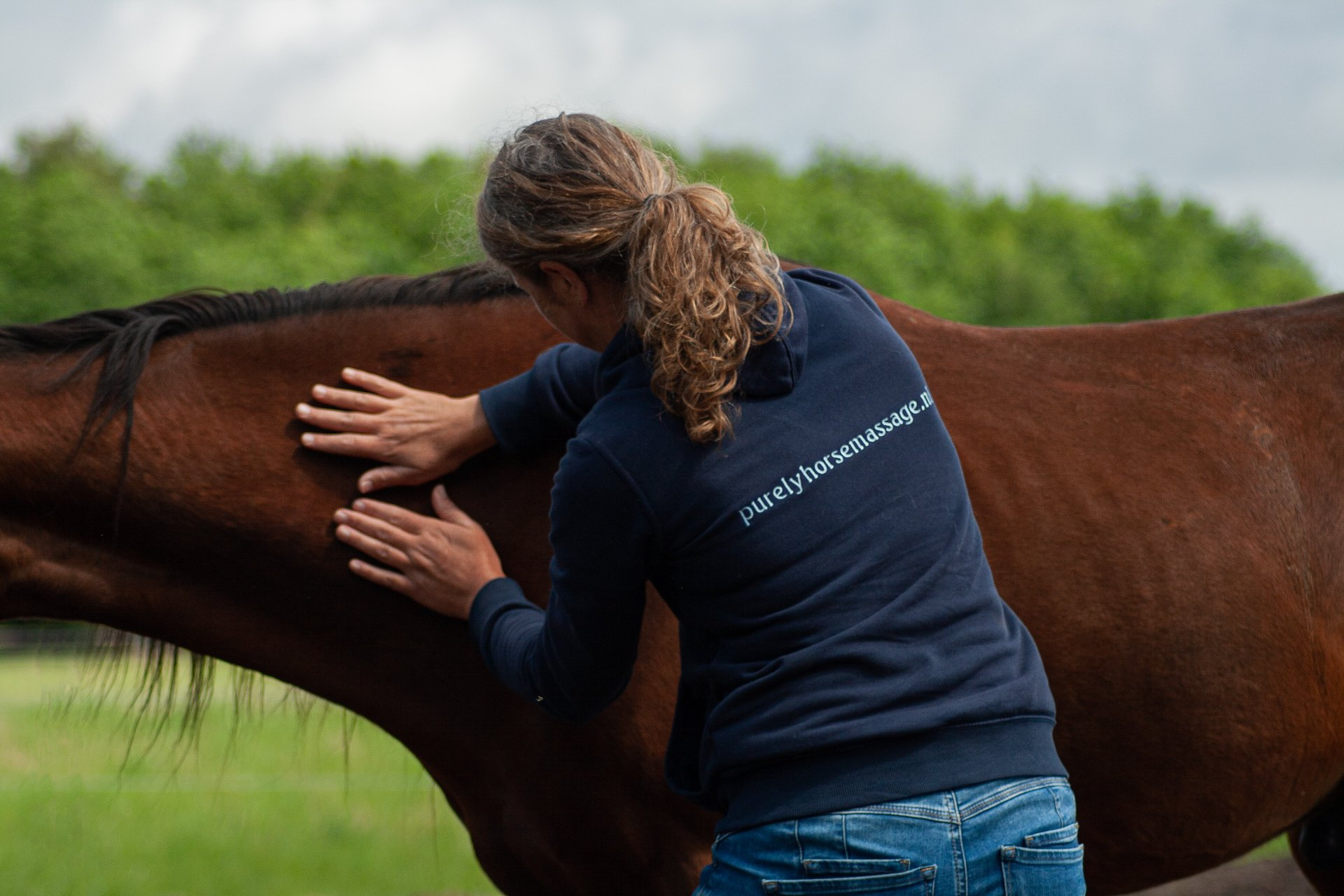 manuele lymfedrainage en acupressuur voor paard met zomereczeem door knutten en mugjes in drenthe