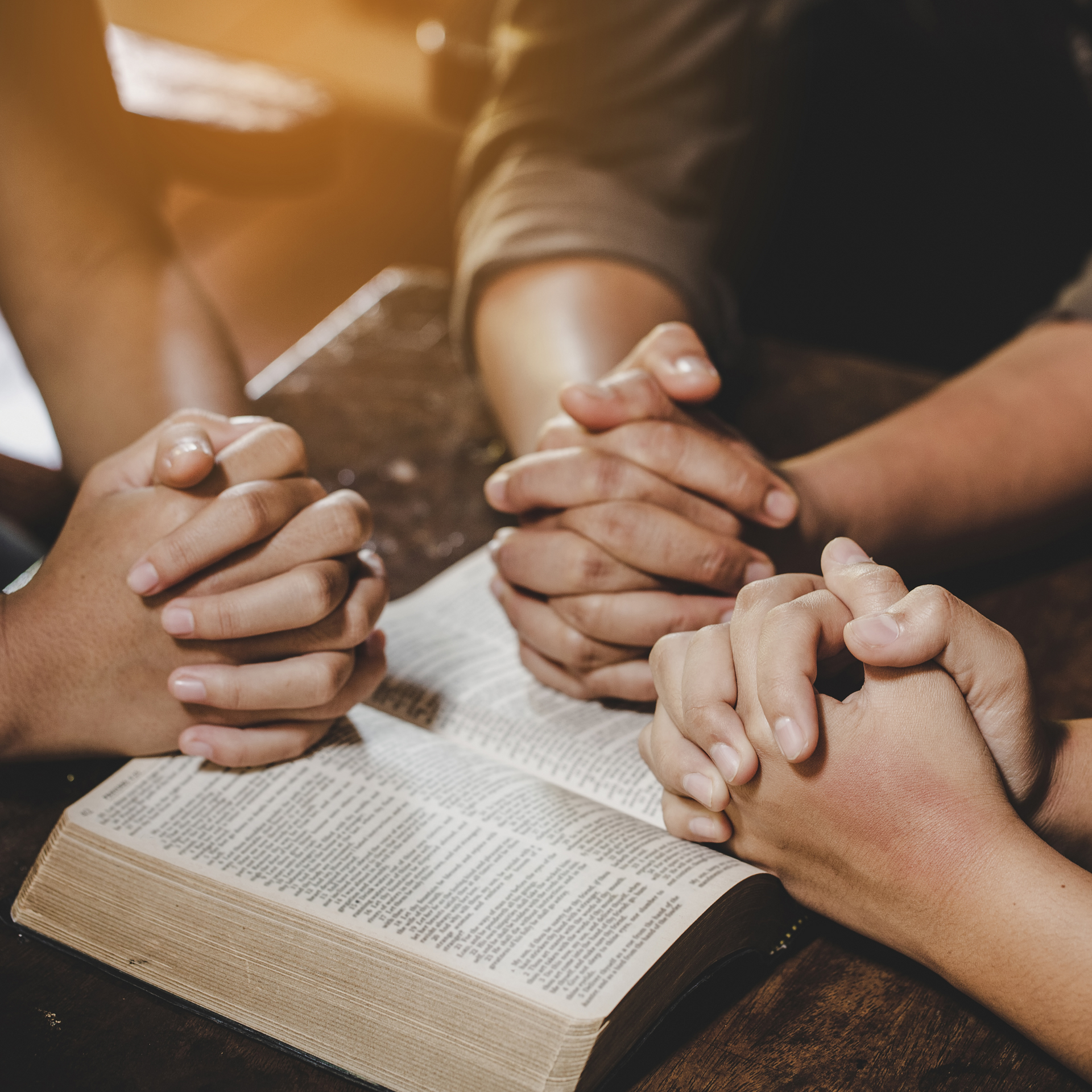 A group of people are praying with their hands folded over a bible.