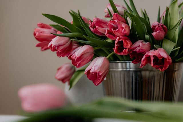 Pink tulips in decorative bucket for funeral home and cremation services in Gig Harbor, WA